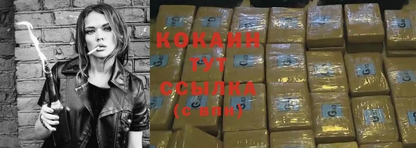 амф Дмитров