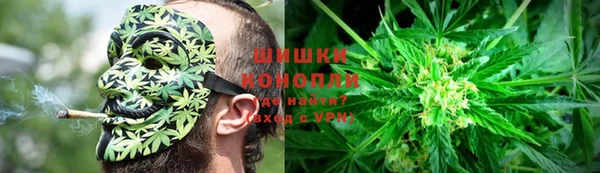 сатива Абинск