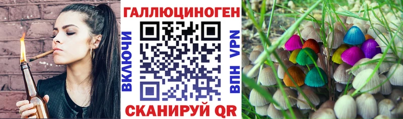 Псилоцибиновые грибы прущие грибы  даркнет телеграм  Белый  где купить наркотик 